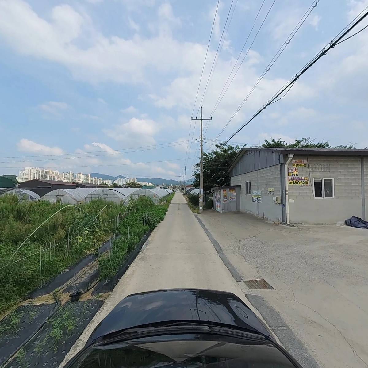 구디스_4