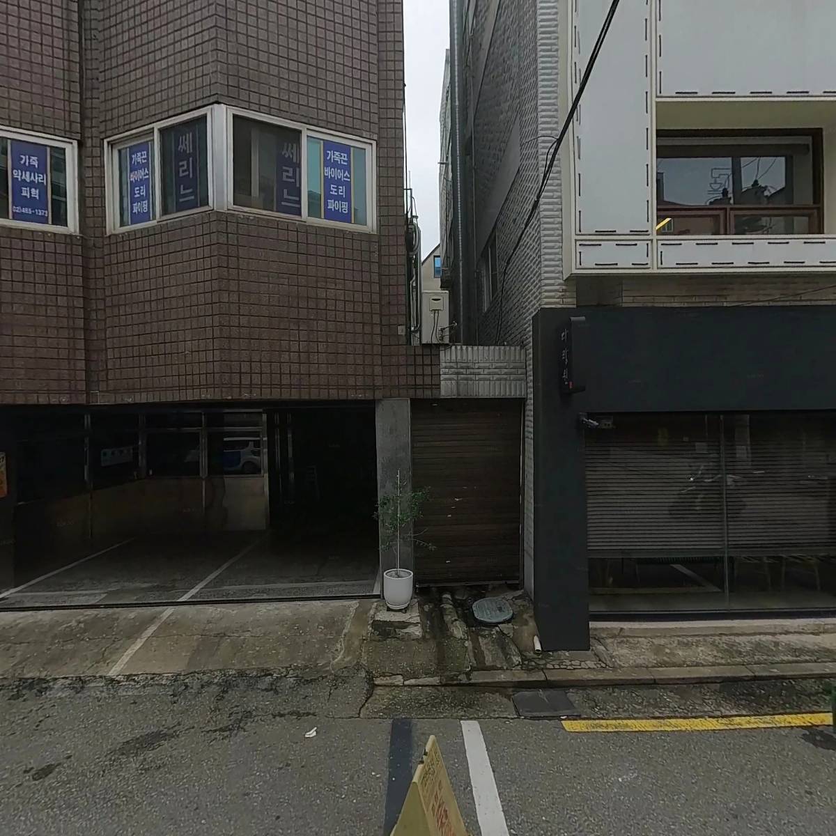 골든센트리(GoldenCentury)
