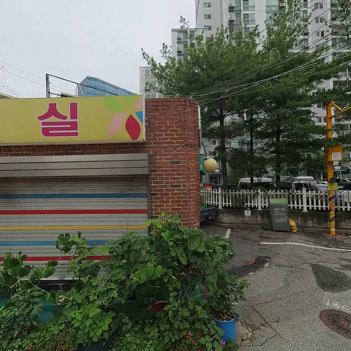 강별
