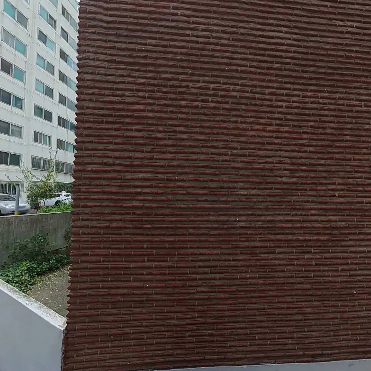 100세건강미디어
