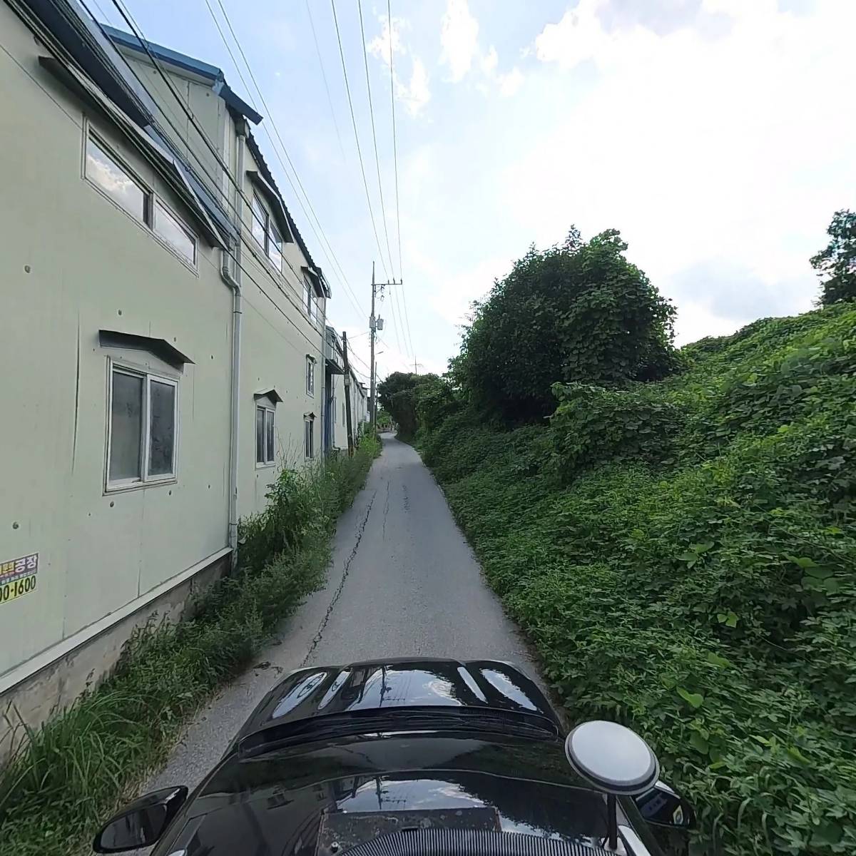 유일비니루_4
