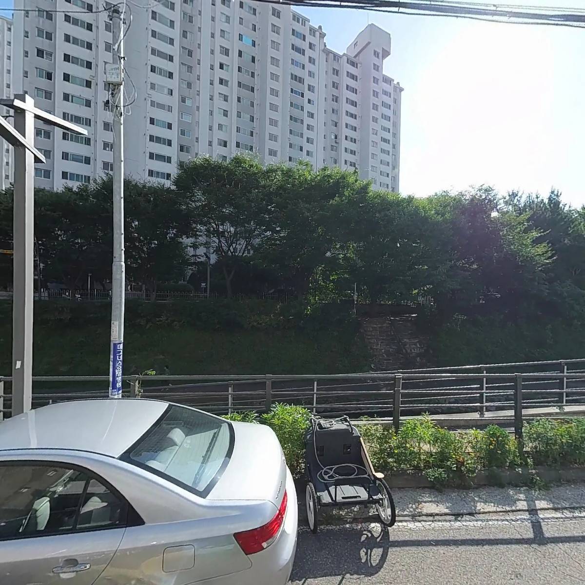 올다팜