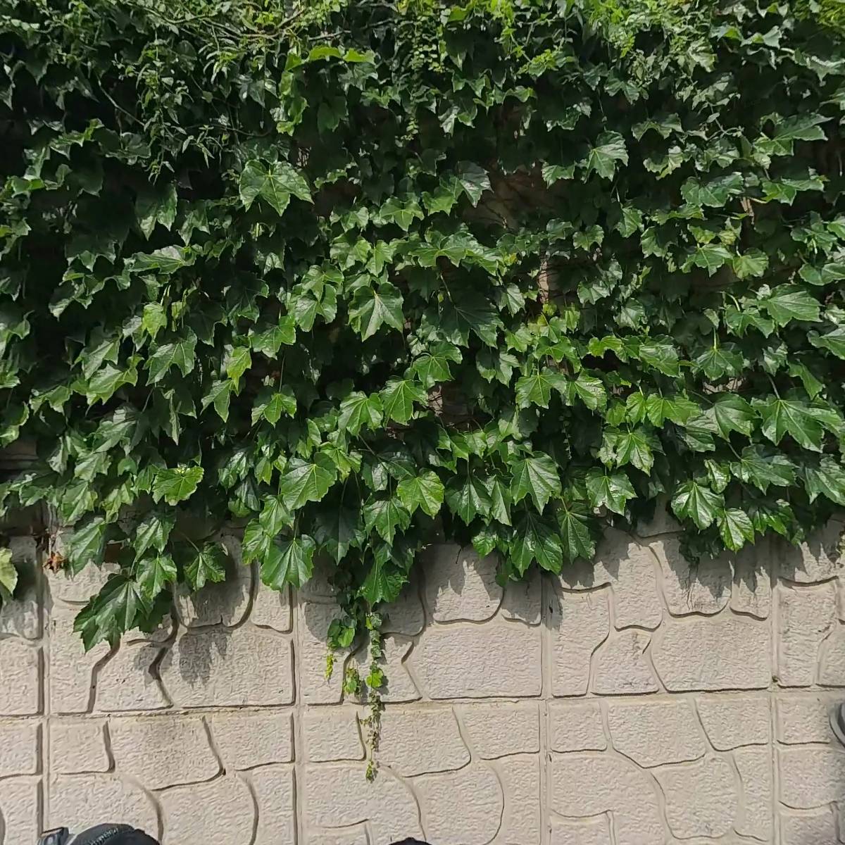 （주）배문교재사