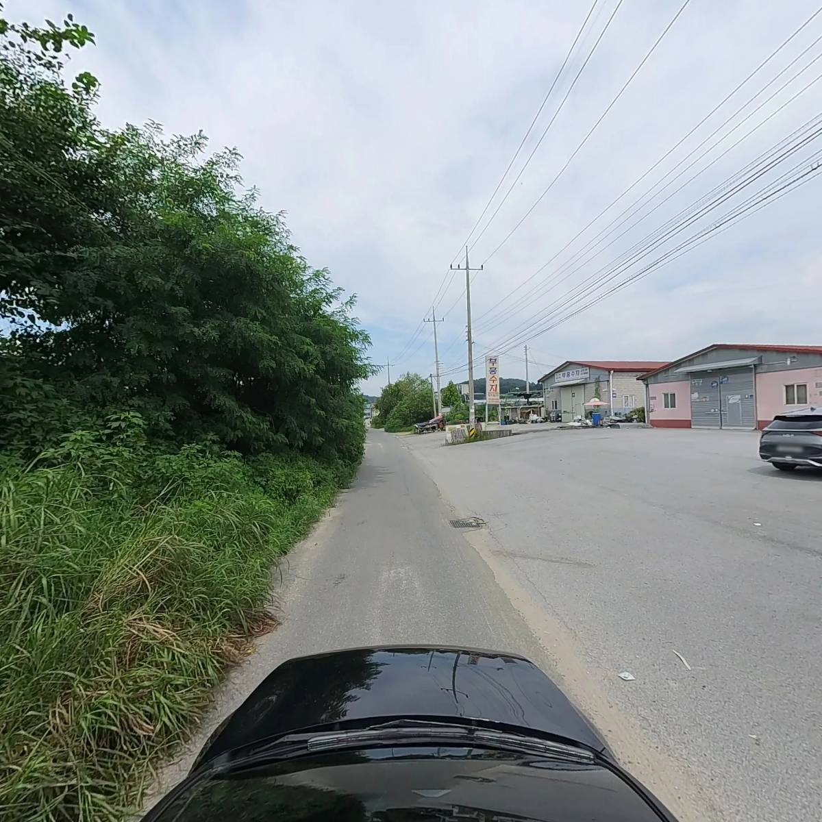 굿씨드_4
