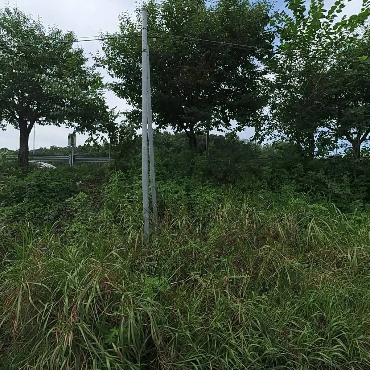 굿씨드_3
