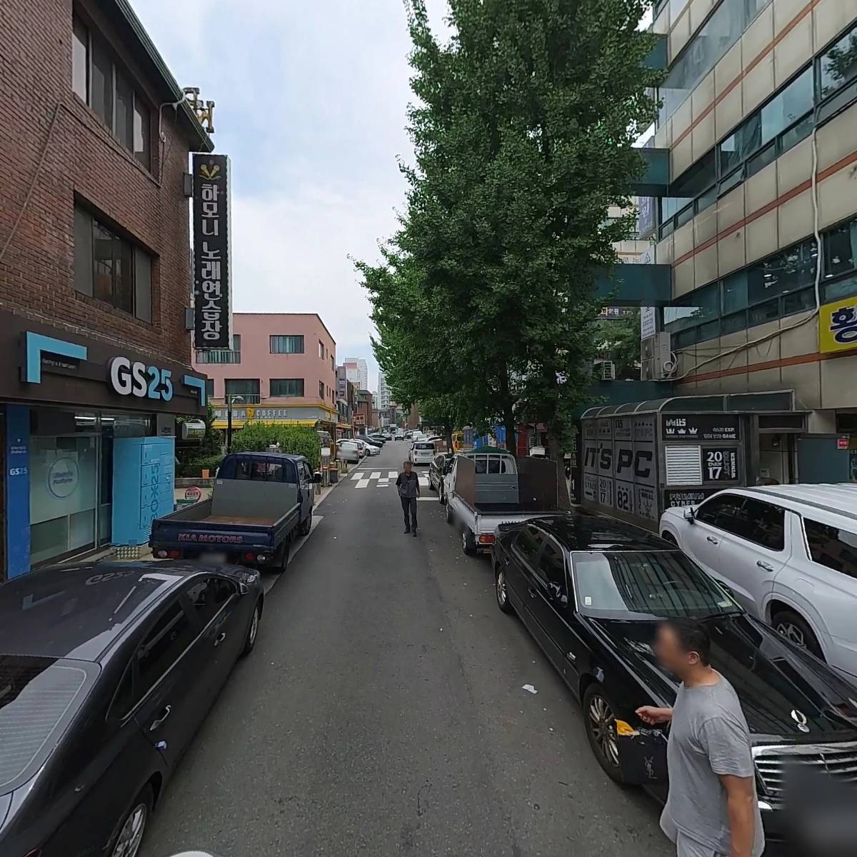 대성청과_2