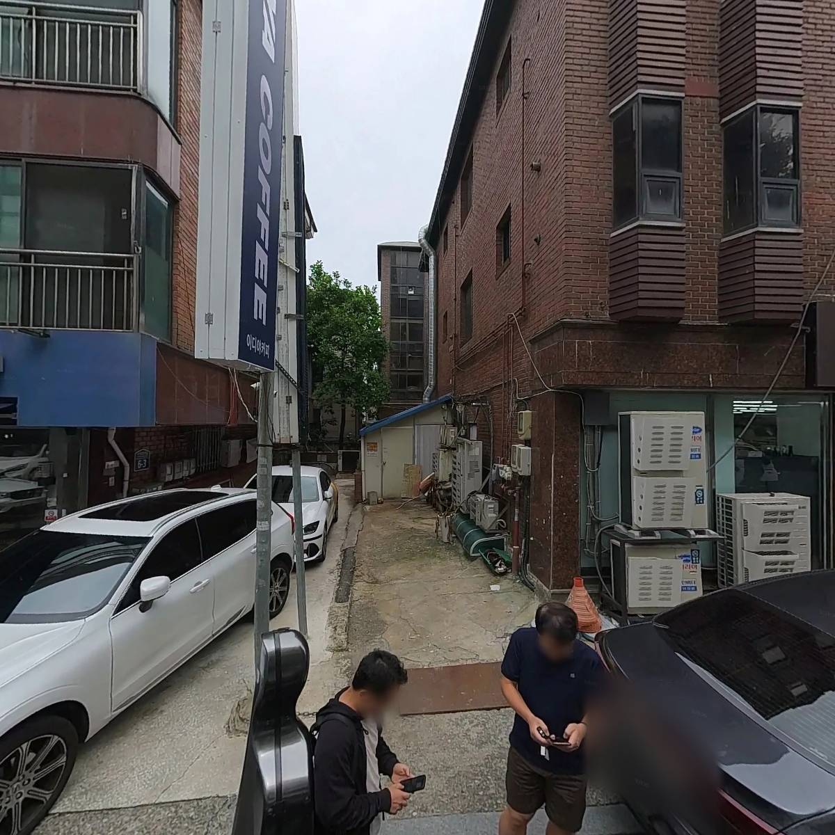 대성청과