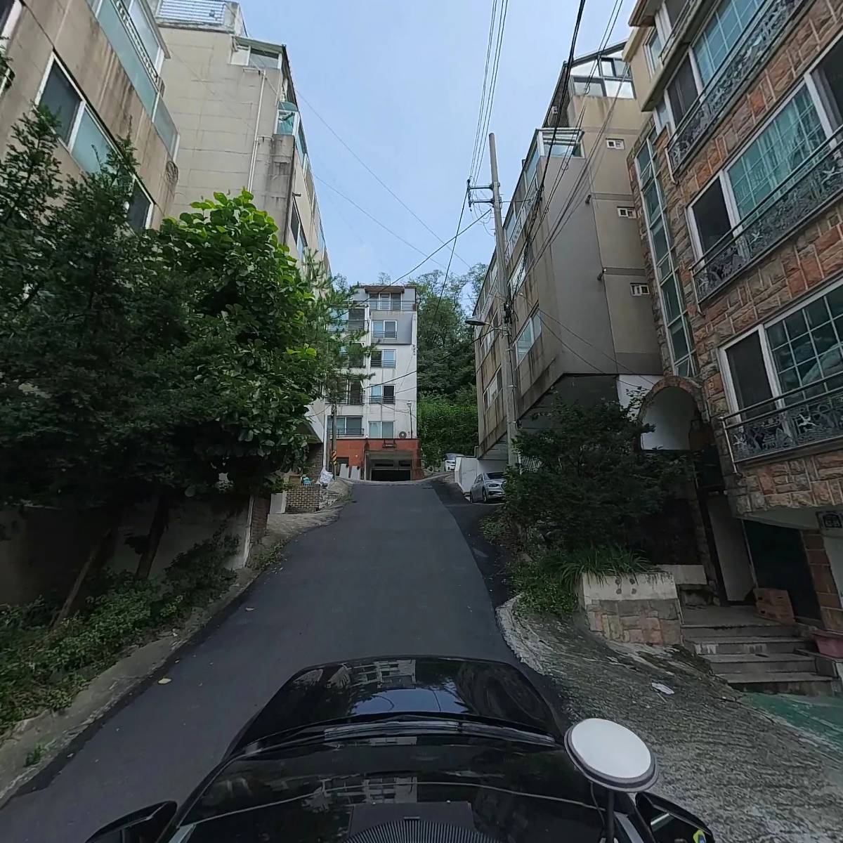 파란물고기_4