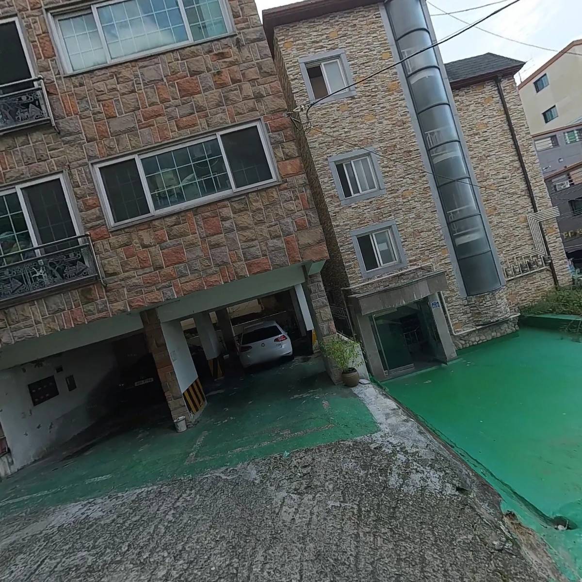 파란물고기