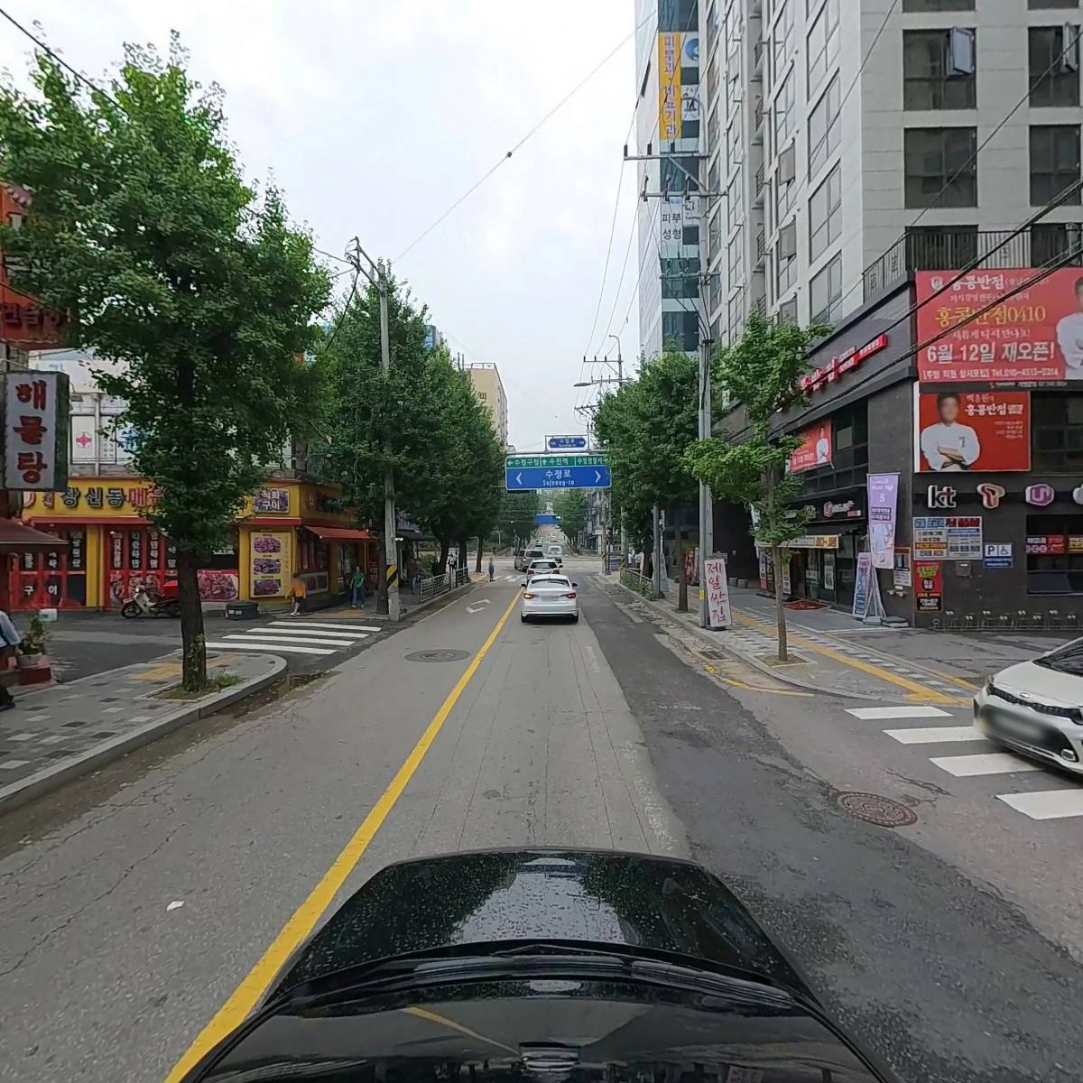서베라_4