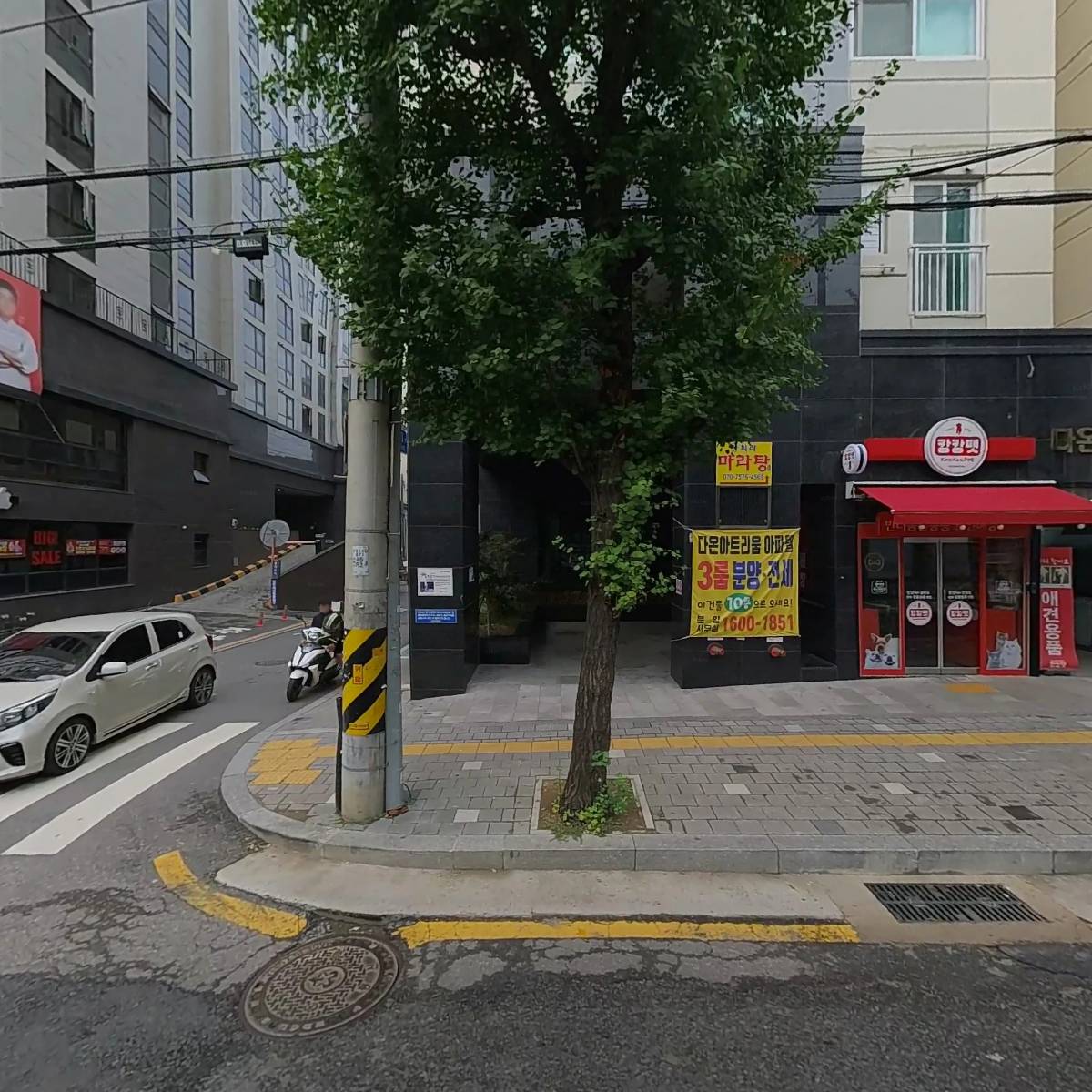 서베라