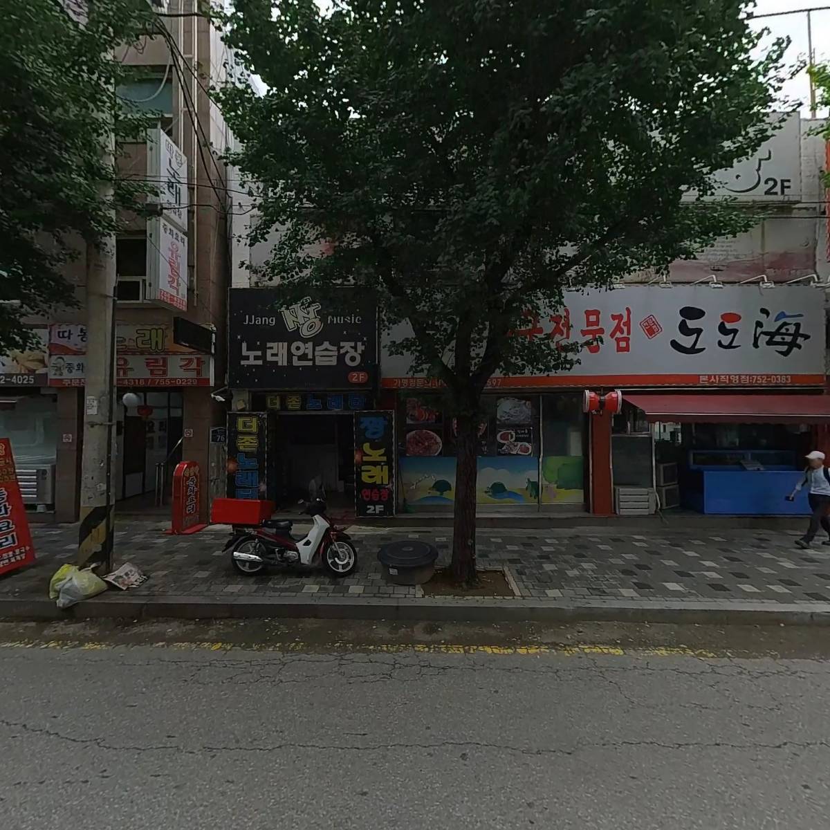 서베라_3