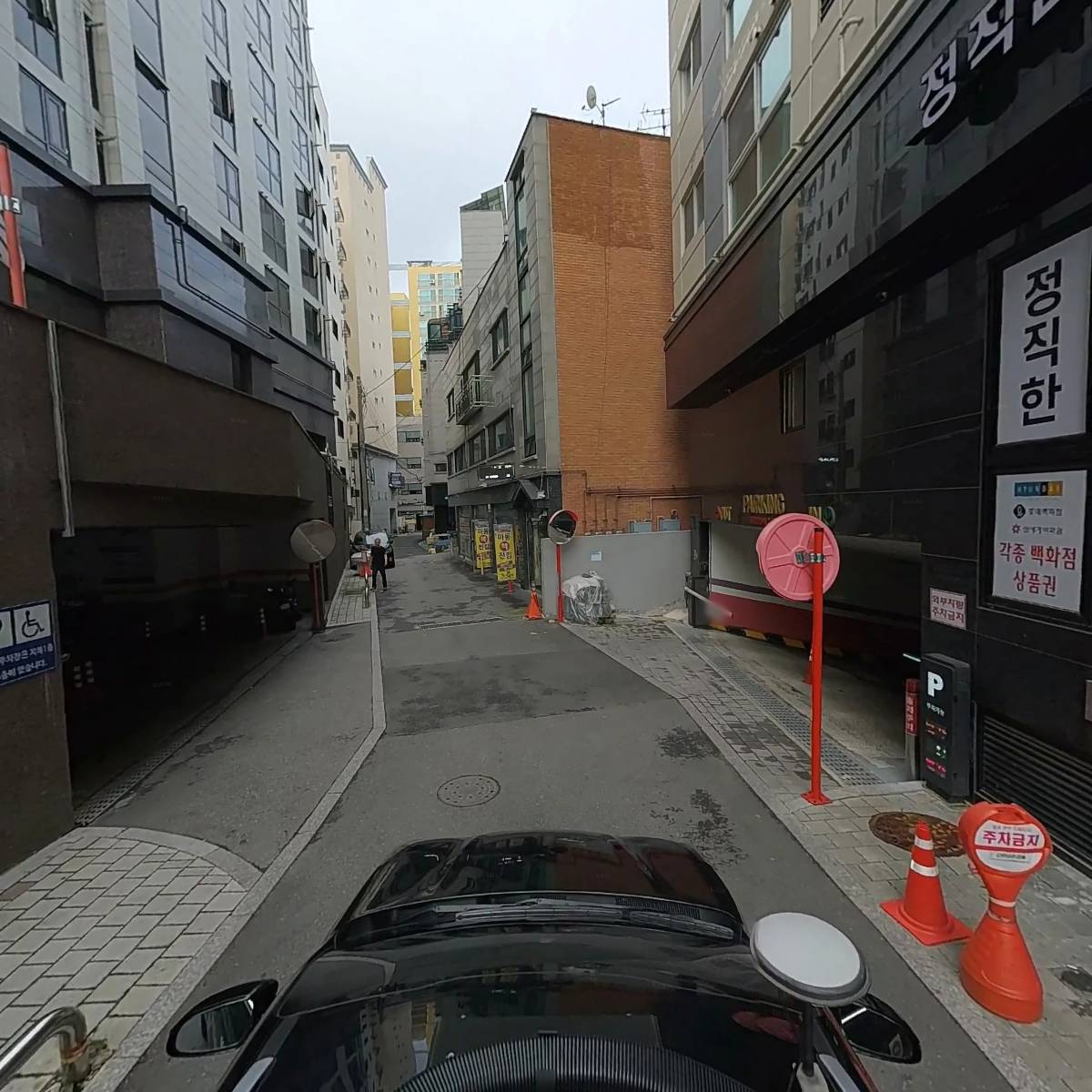 캉캉펫 태평점_4