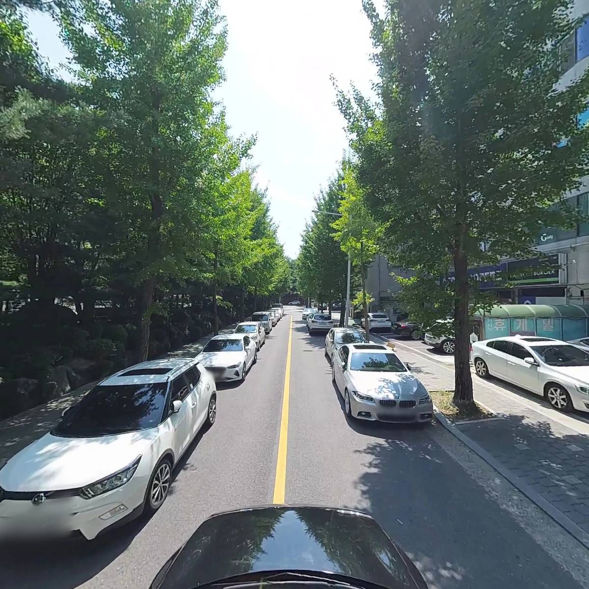 통큰손쭈꾸미마을 마두점_4