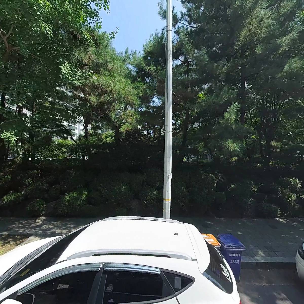 통큰손쭈꾸미마을 마두점_3