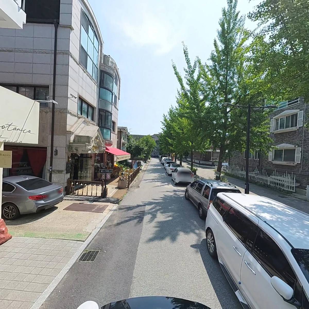 보타니카바이선리_2