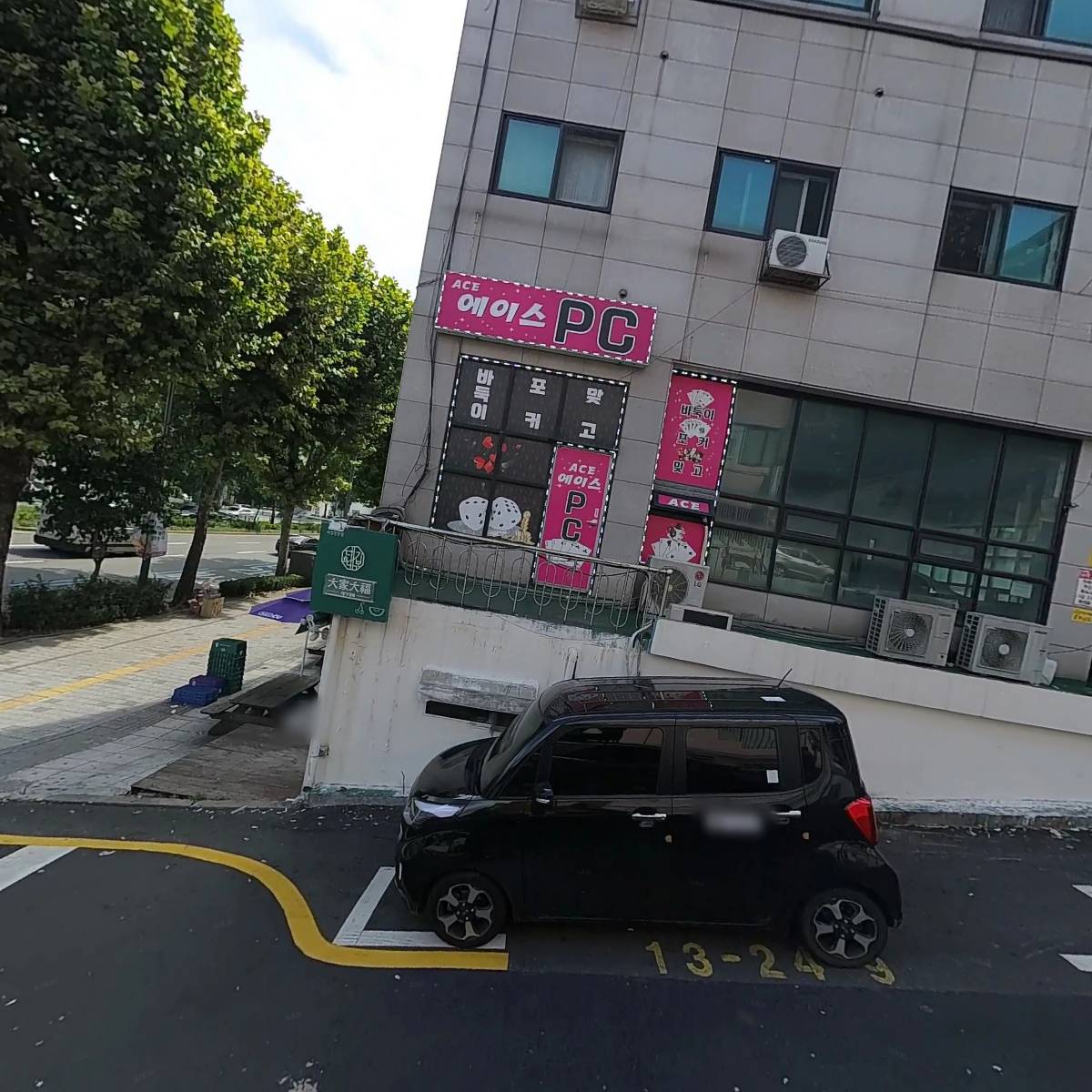 파란대나무숲_3