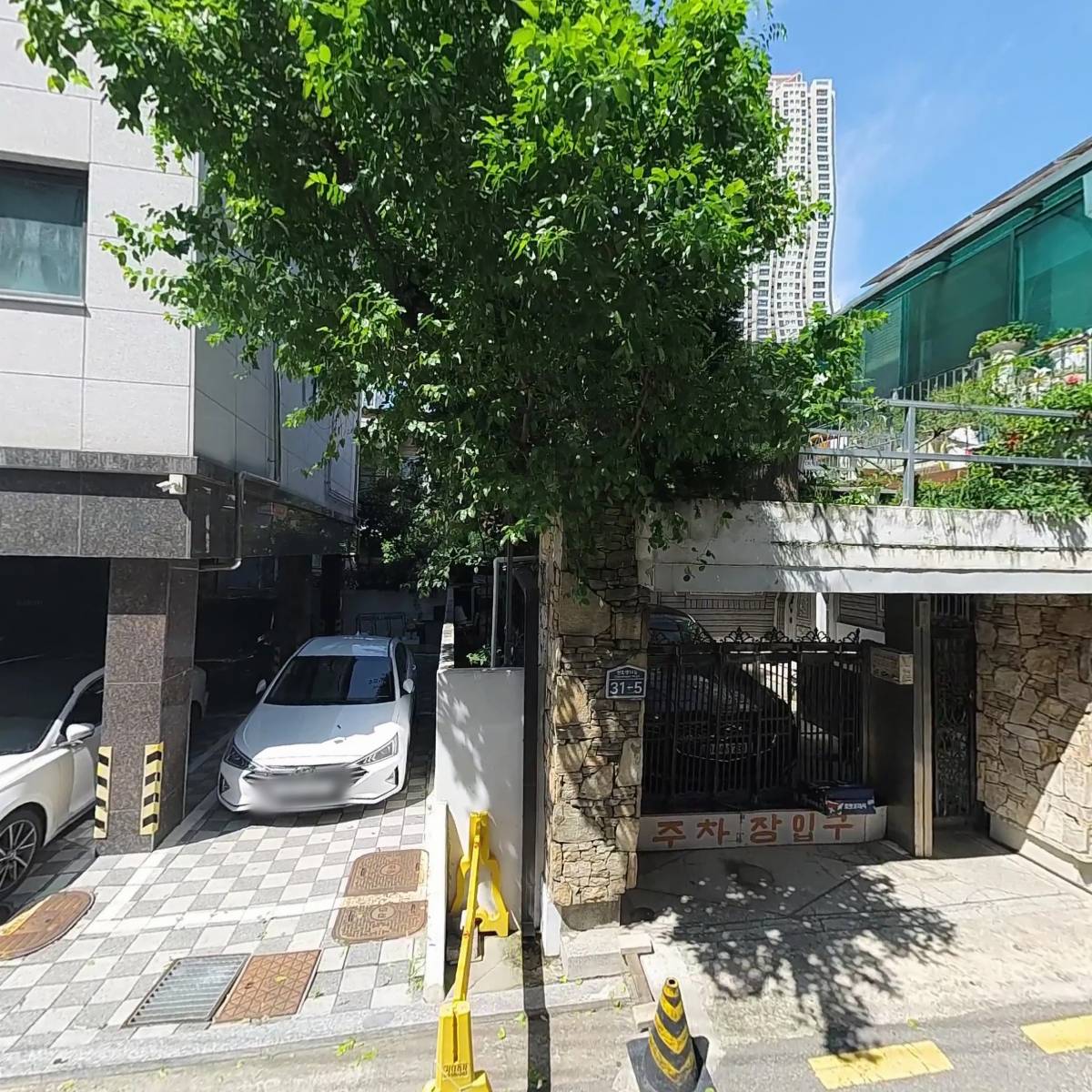바나고네일_3
