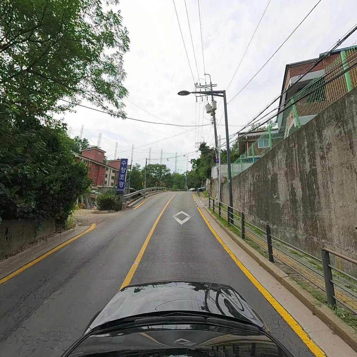 자작나무_4