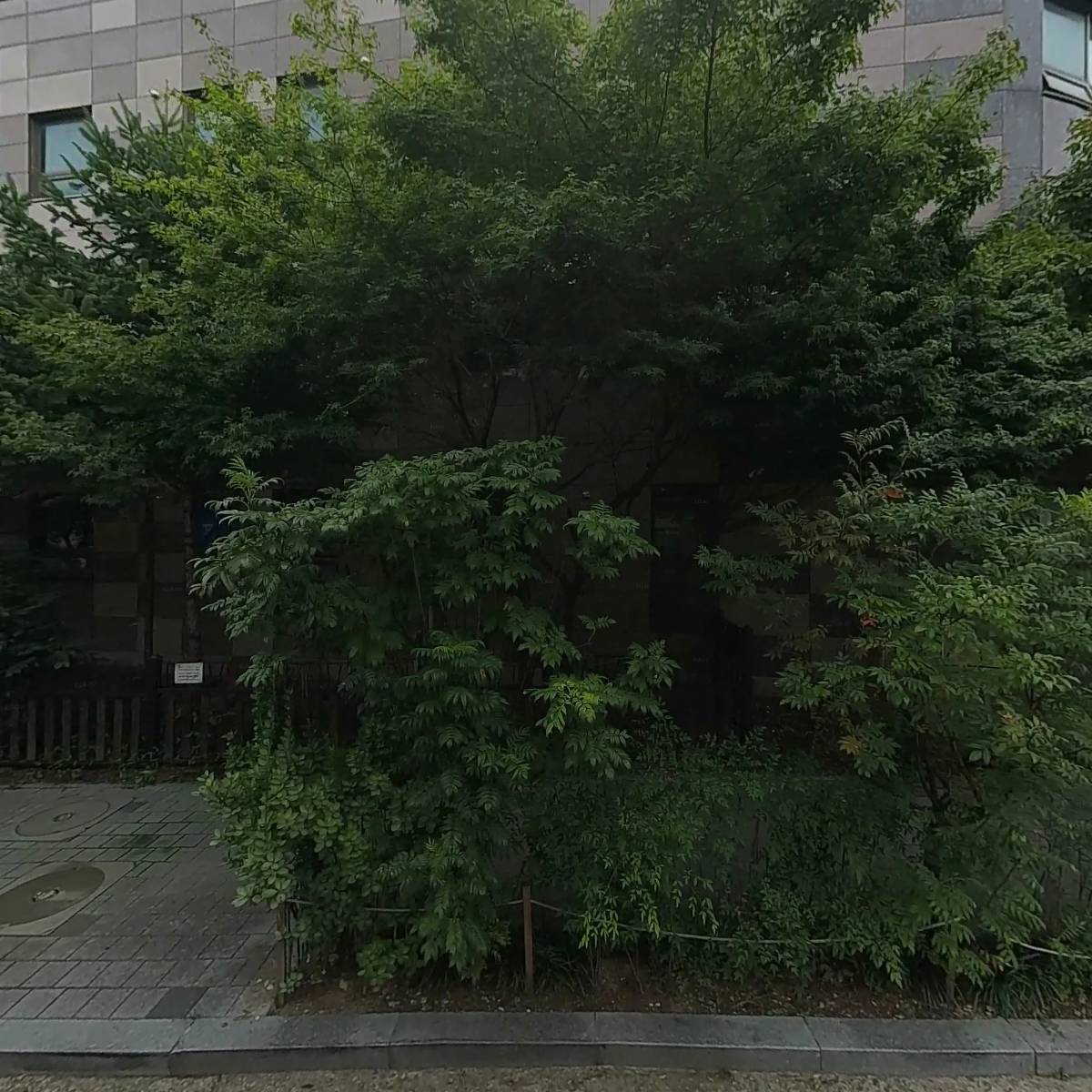 돔카페