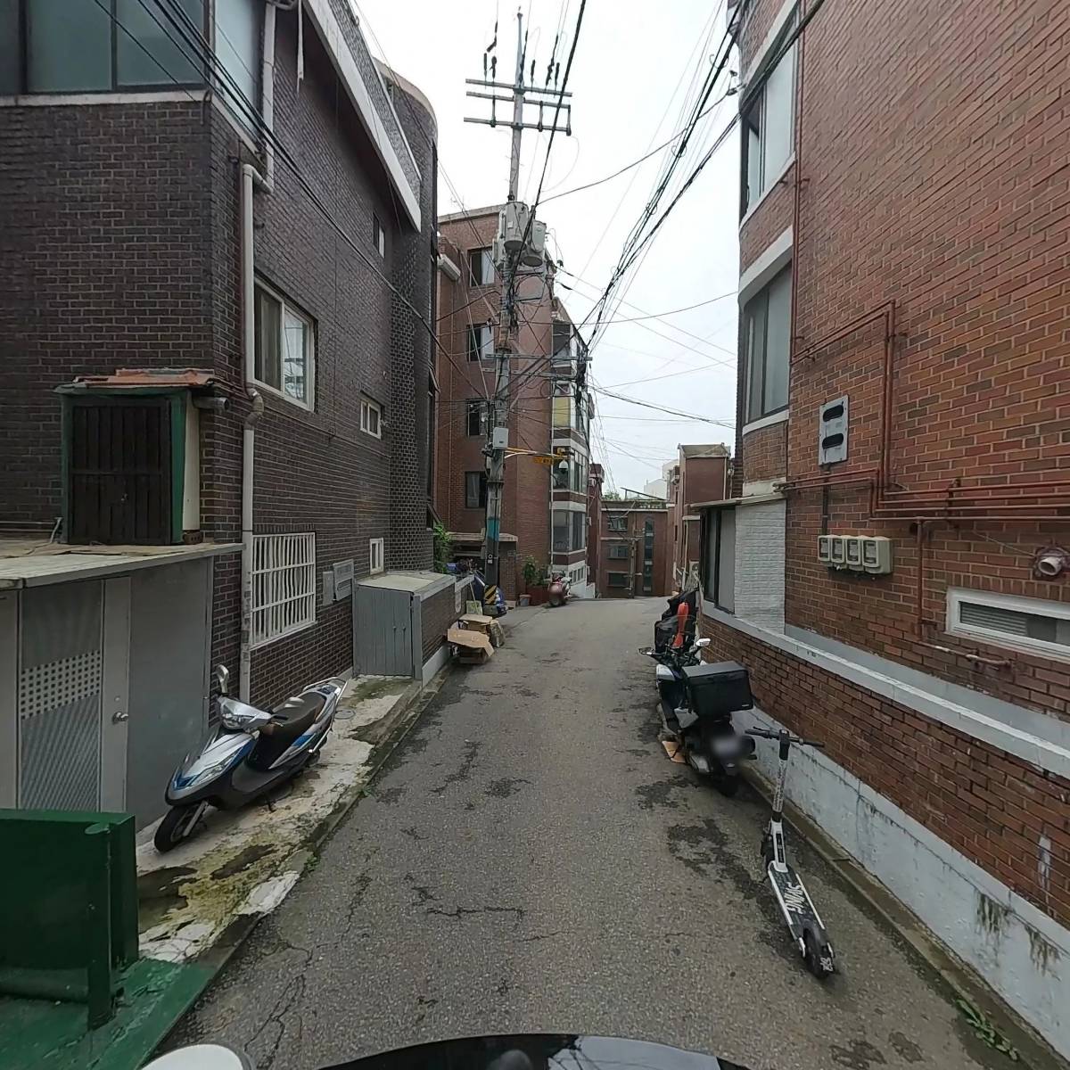 버니버니_2