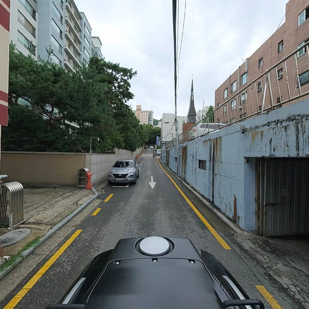 김정자_2