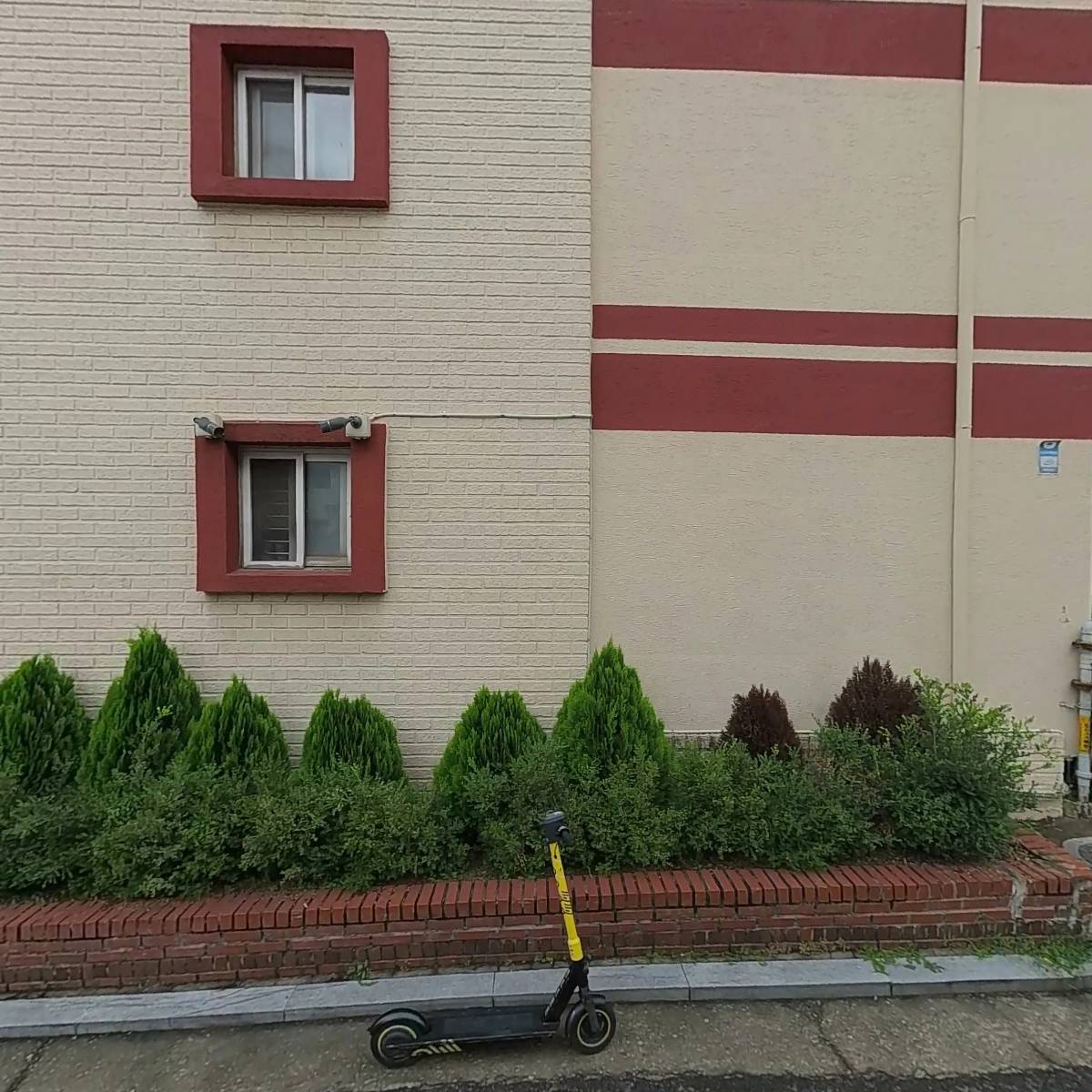 김정자