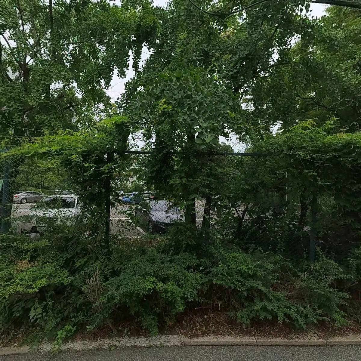 플랜덱스