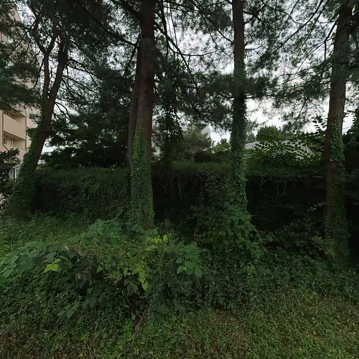 1538 너래바우_3