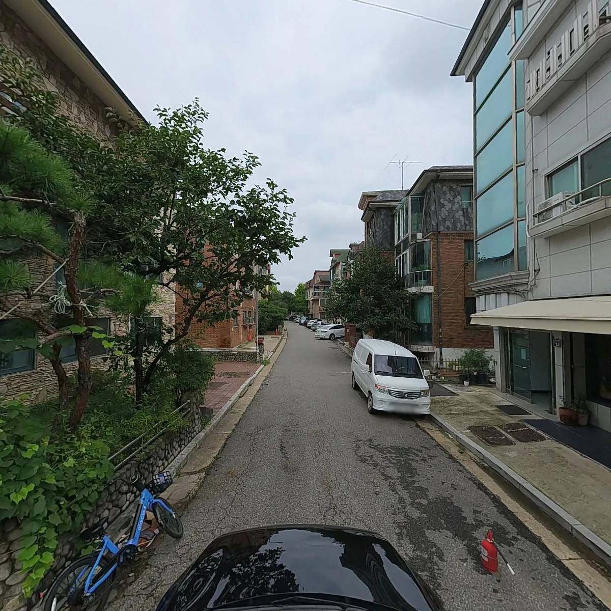 때맞춰 내린 비 시우_4