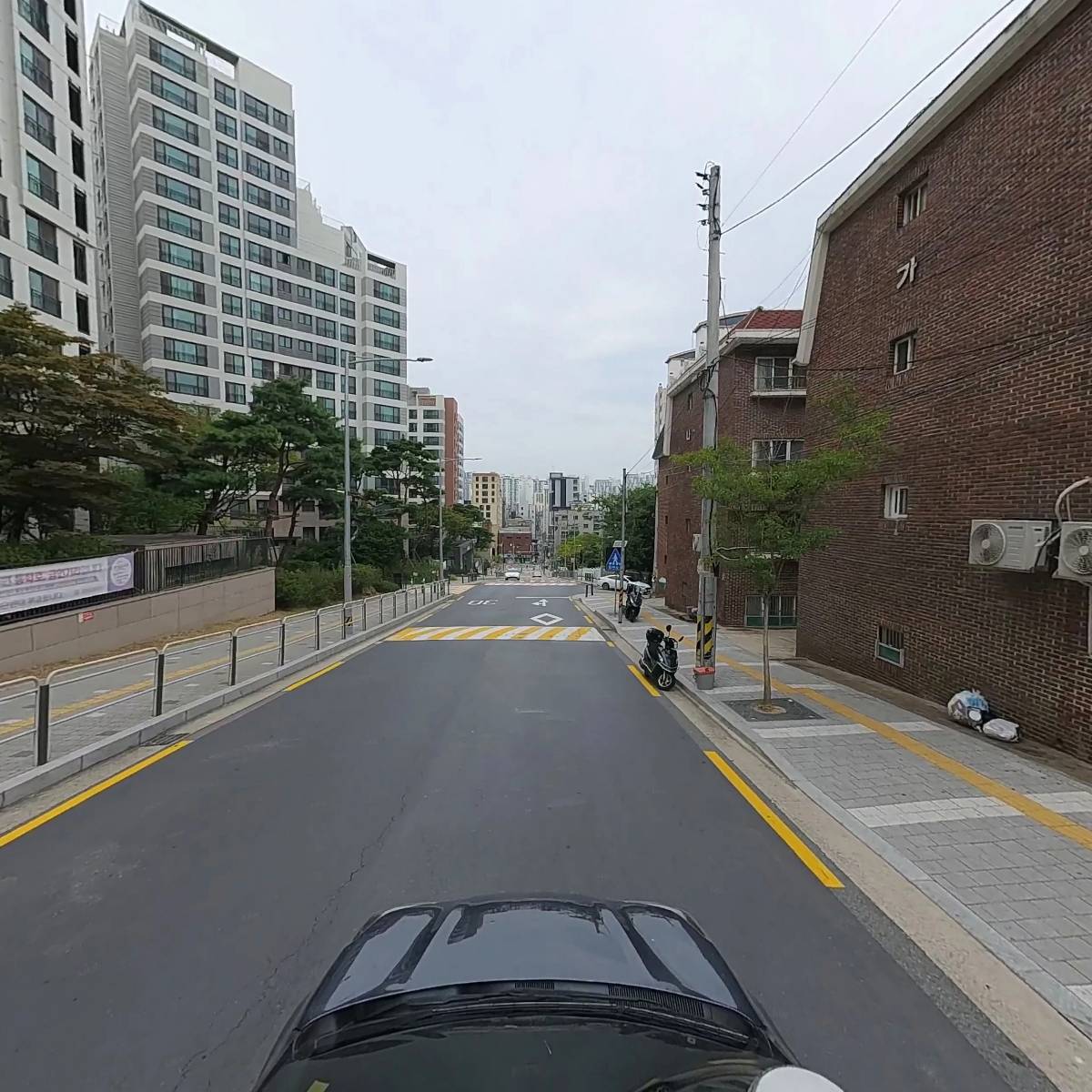 레몬드랍_4