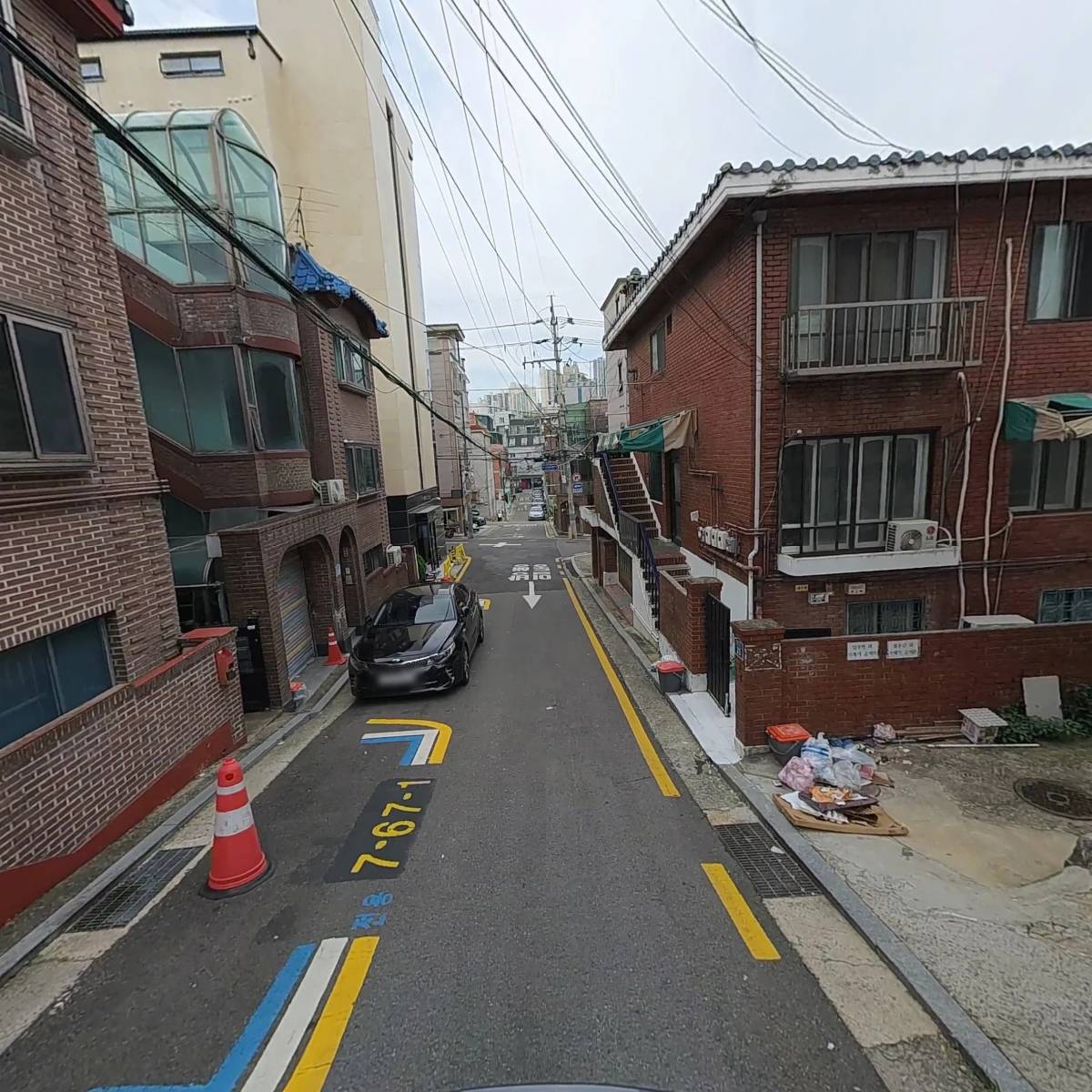 퍼플 린_2