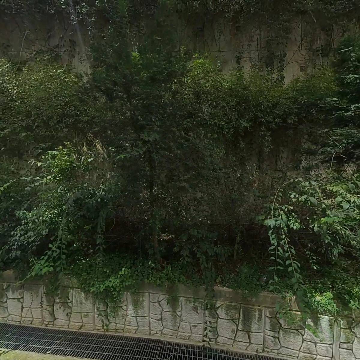 （주）참트웰브_3