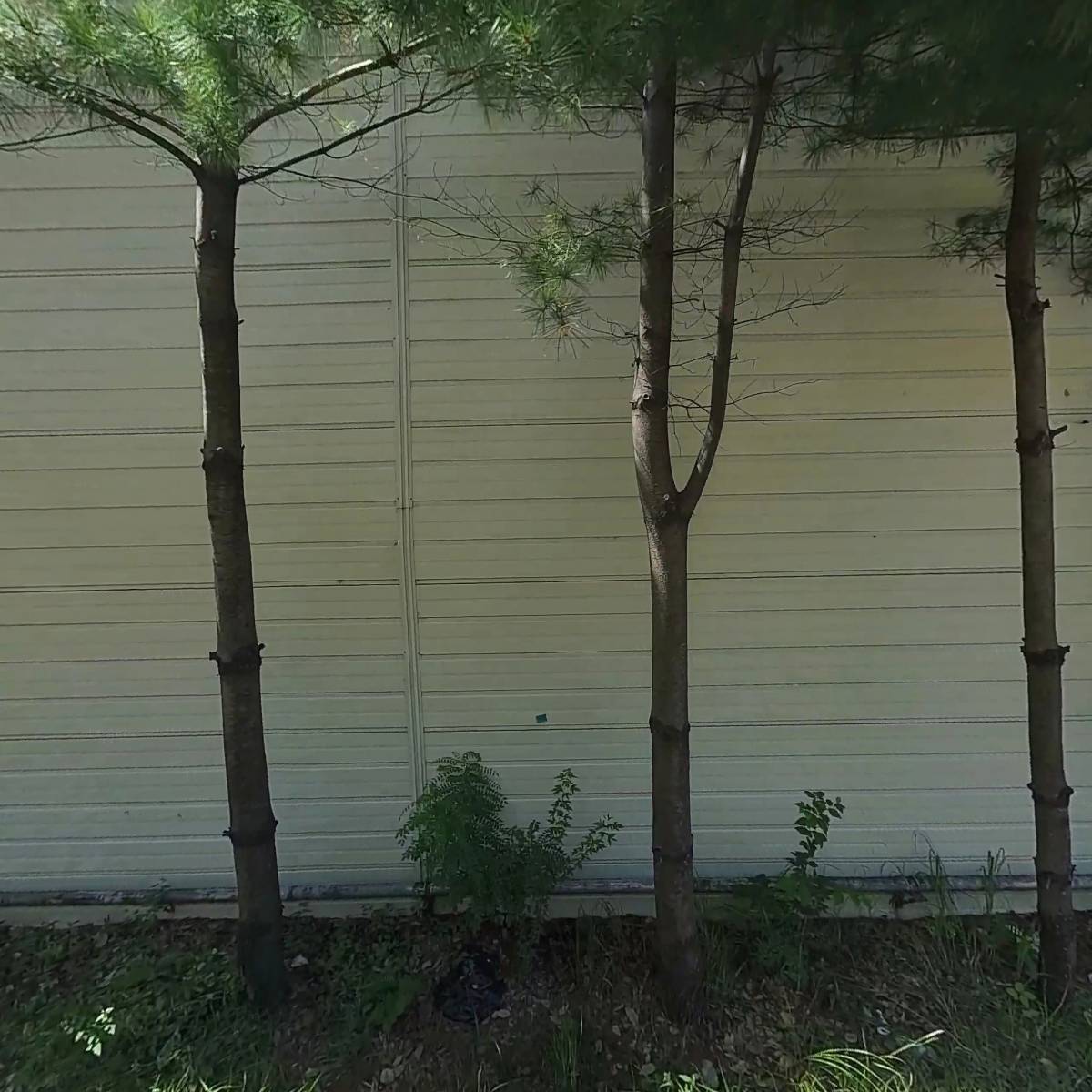 산들동물병원