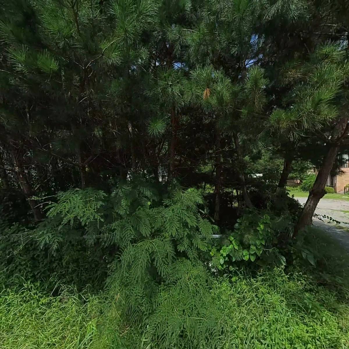 한성메카트로닉스_3