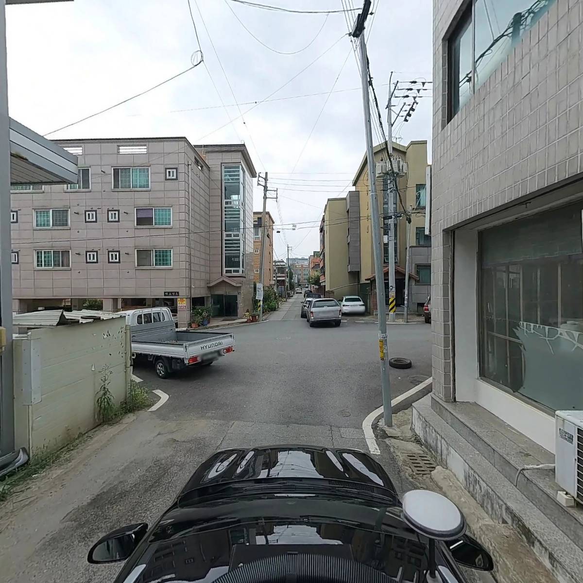 금성유통_4