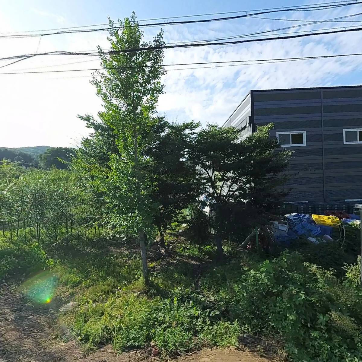 미소한근