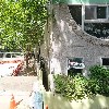 주식회사제디랩