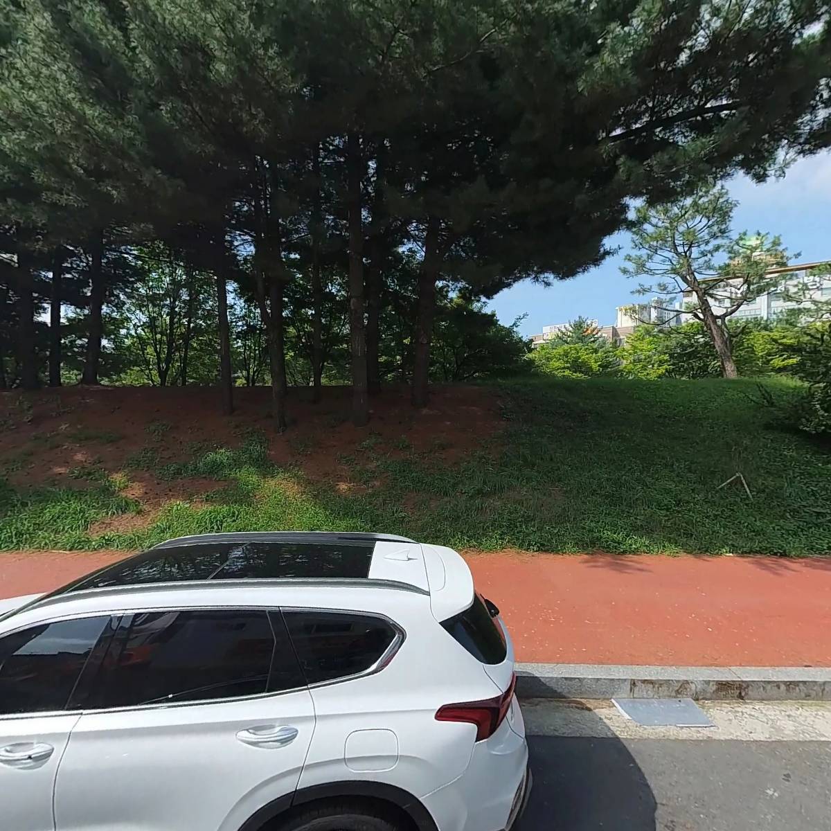 기영이 숯불 두마리치킨 청주복대점