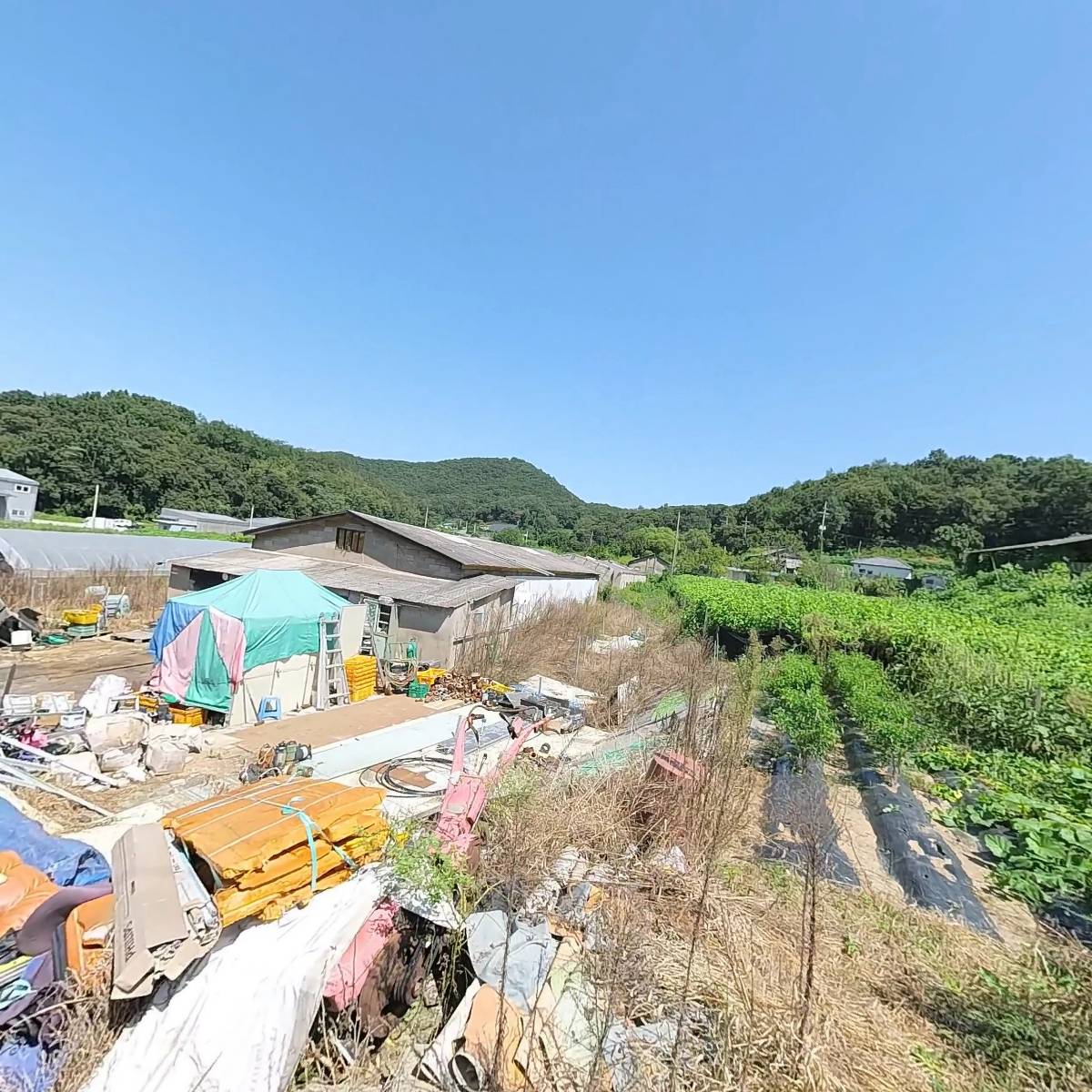수린
