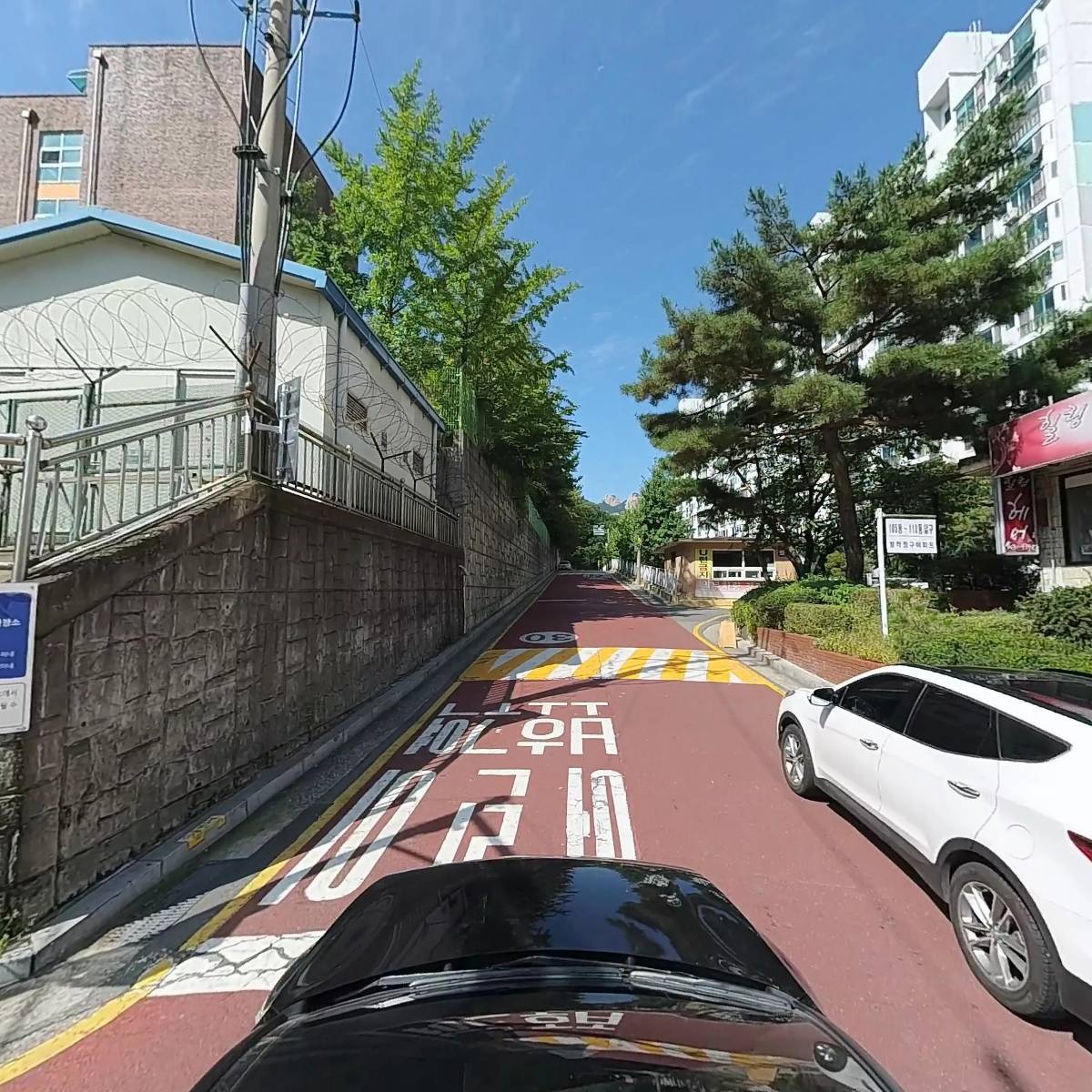 골든화이트_4