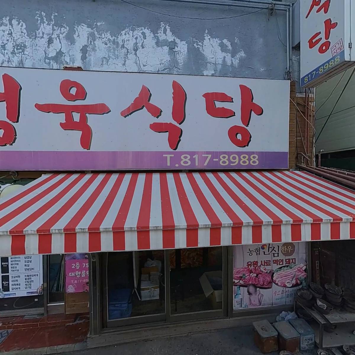 퍼플카우