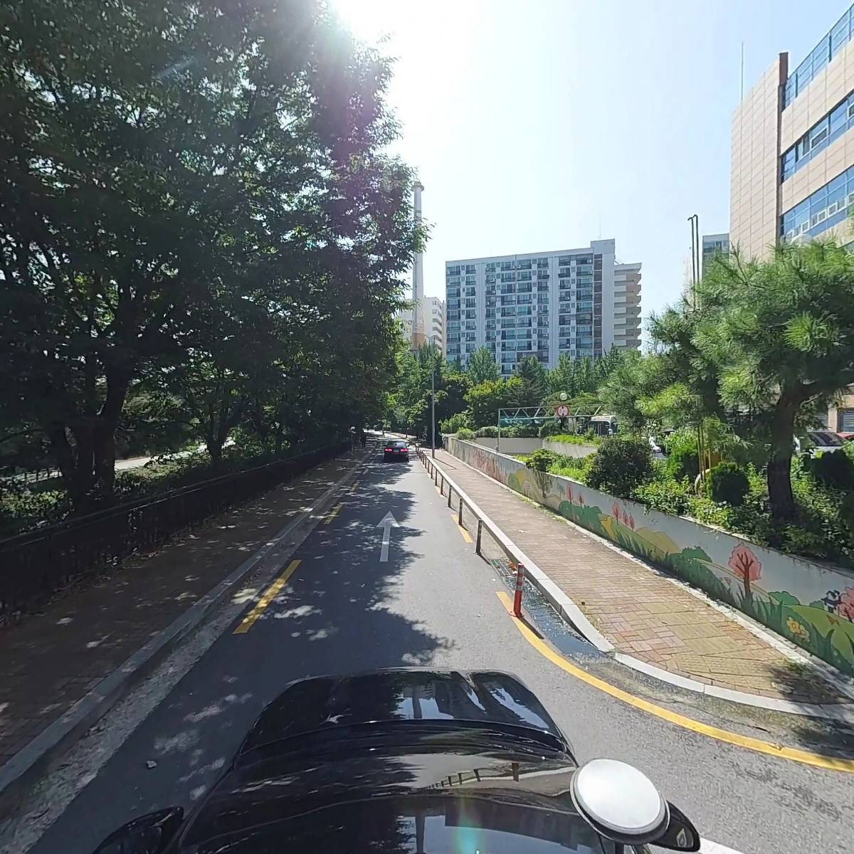 홍안_4