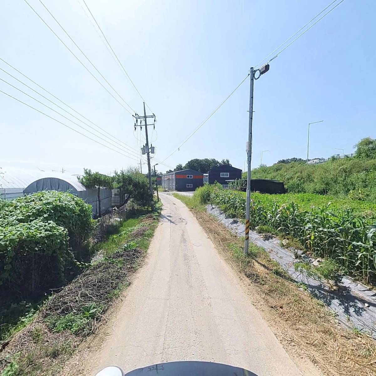 숙이네 설문 농원_2