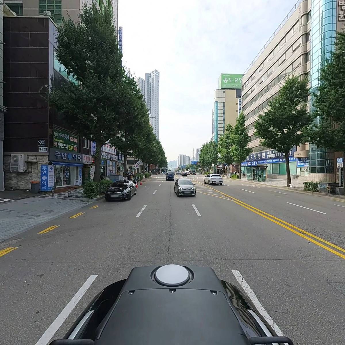 신화영미디어_2