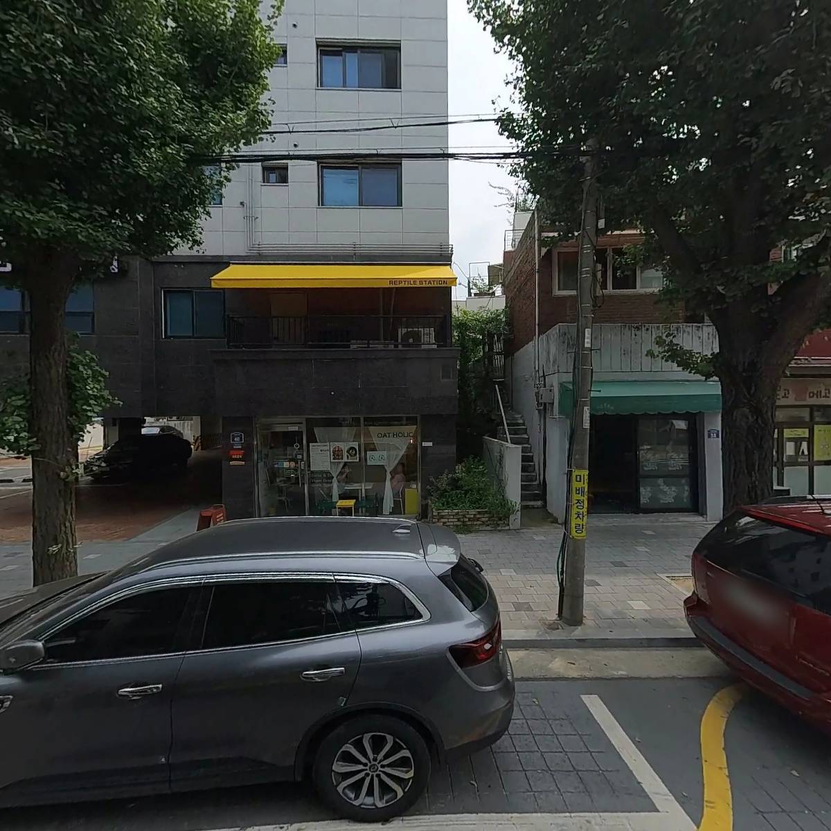 파충류샵 렙타일스테이션(REPTILE STATION)
