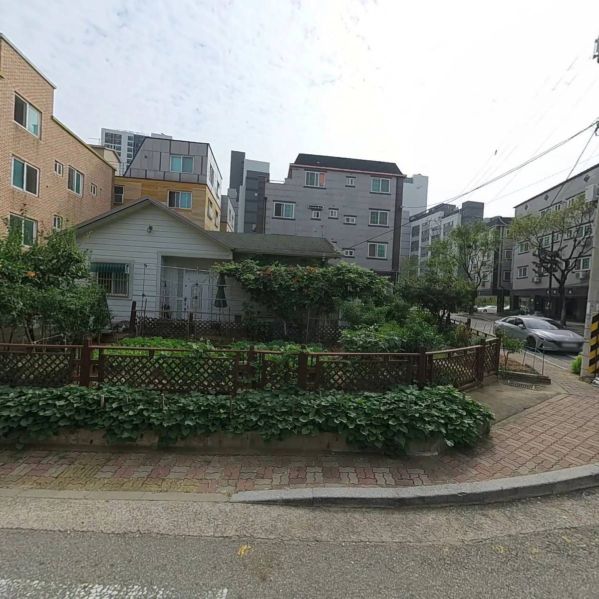 도서출판 종이학_3