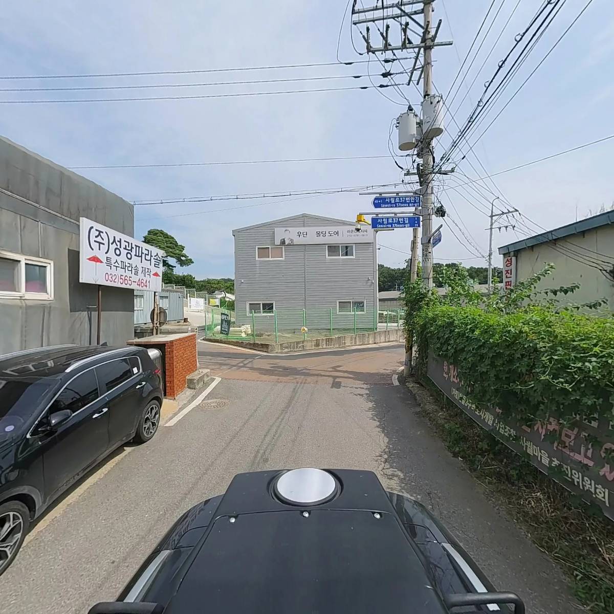 한국파라솔_2