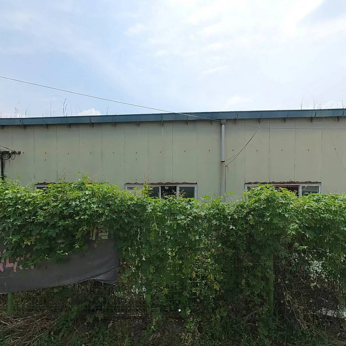 한국파라솔_3
