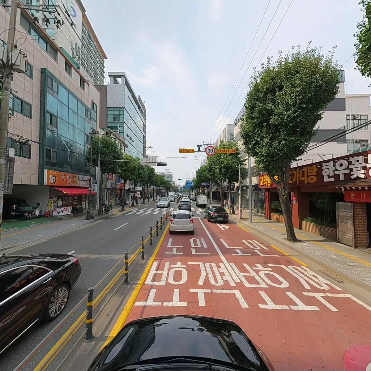 등나무집_4